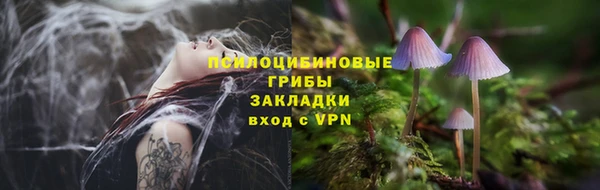 первитин Балахна